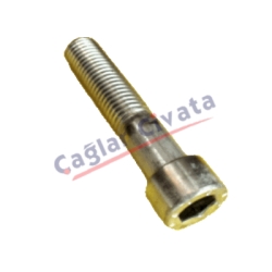 DIN 912-ISO 4762-UNI 5931-NF E25-125-İMBUS-HEXAGON SOCKET CAP SCREW-İNOX-A4-Çağlar Civata