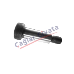 YAY AYAR CİVATASI SHOULDER BOLT 12.9 whitworth UNC -Çağlar Civata