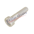 DIN 7984-UNI 9327-İMBUS ALYAN CİVATA-HEX SOCKET CAP SCREW-İNOX-A4-Çağlar Civata