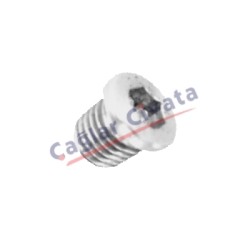 DIN908 TAPA FLANŞLI ALLENLİ ALÜMİNYUM R 3/8"-Çağlar Civata