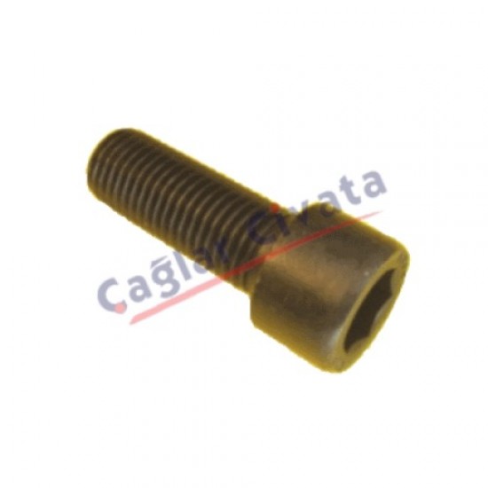 ISO 4762 /DIN 912 HEX SOCKET CAP SCREW İMBUS 8.8/10.9/12.9/A2/A4-Çağlar Civata
