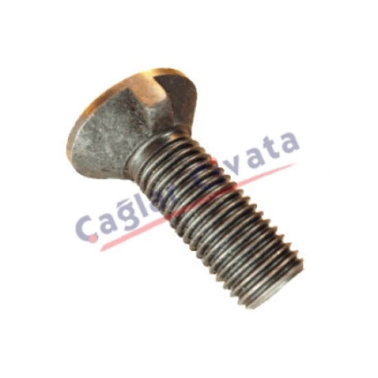 DIN604 CİVATA HAVŞA TIRNAKLI 8.8